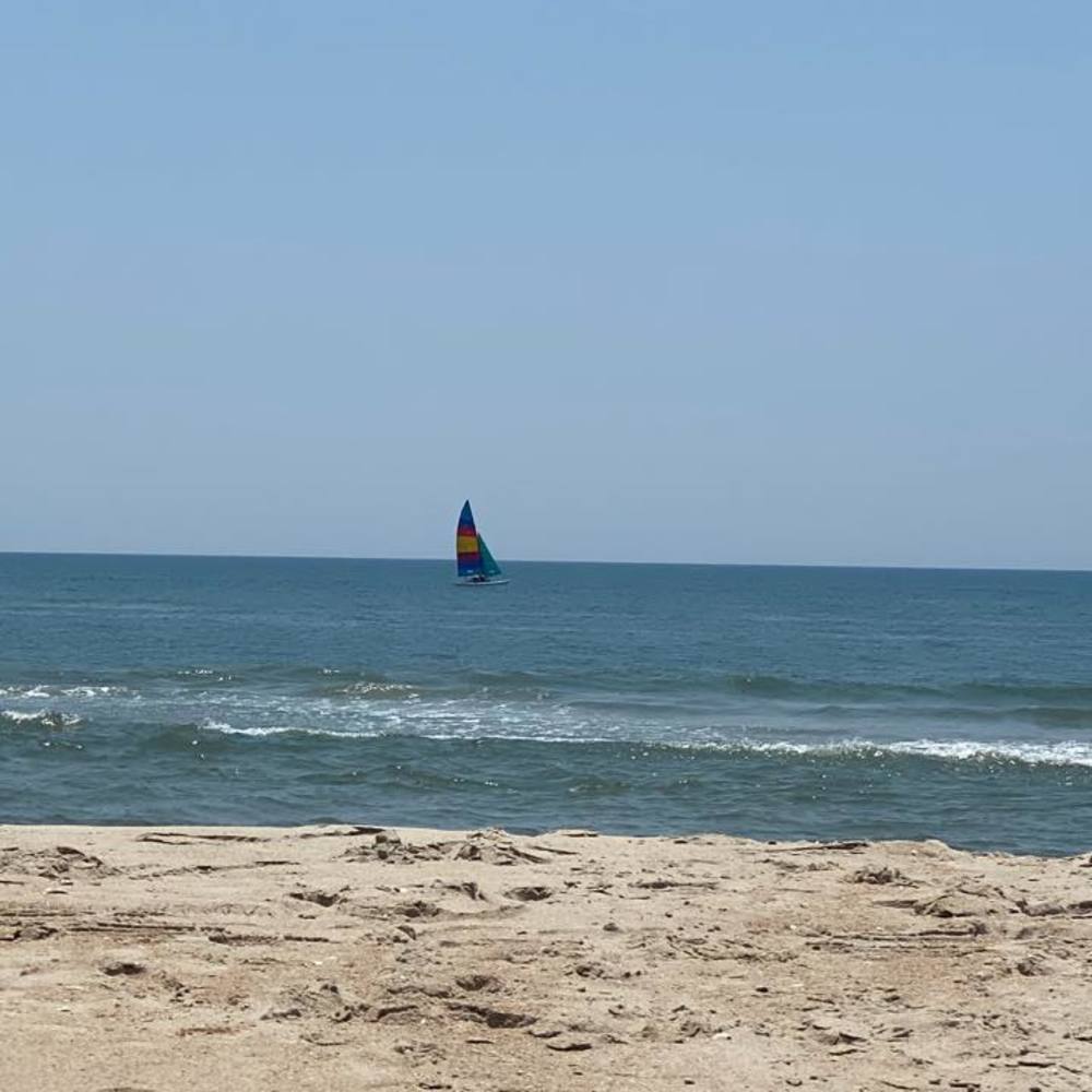 Meet your Posher, Jane